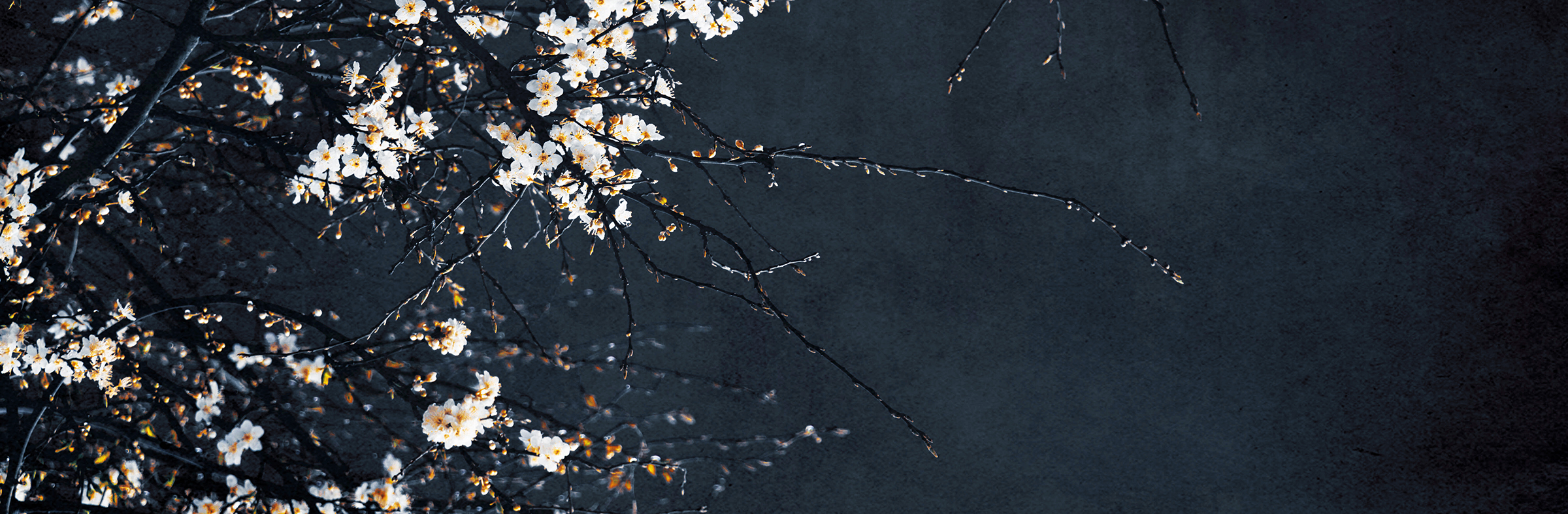 Ingrid Beddoes