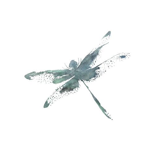 Delinda Graphic Studio