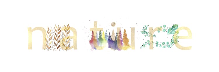 Cesartorresphotography