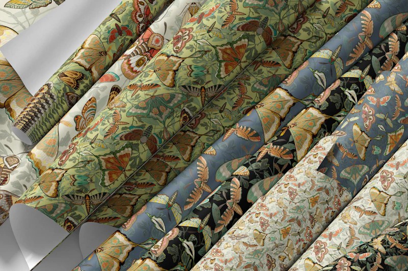 Perhos- ja koiperhoskokoelma