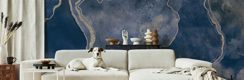 Marble Murals