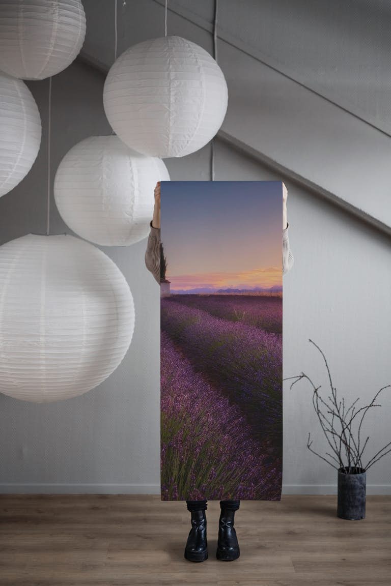 Provence Lavender papel de parede roll