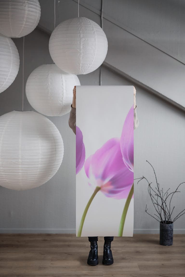 Purple Tulips 2 papel de parede roll