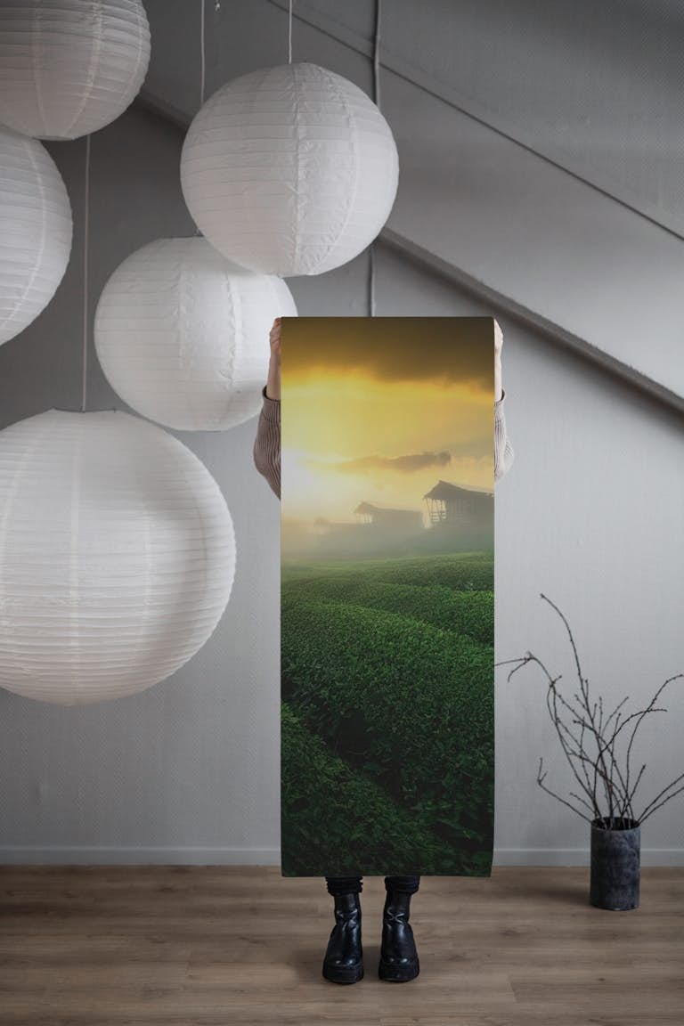 Misty sunrise in tea garden wallpaper roll