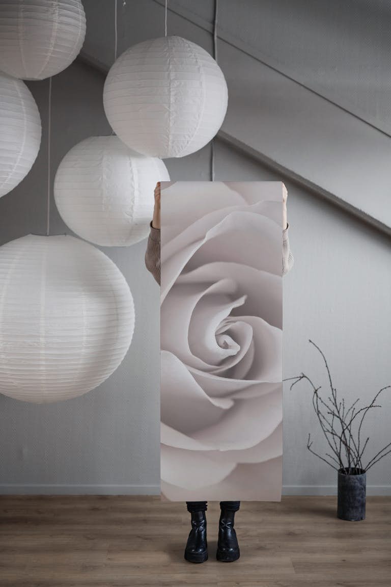 Captivating Rose papel pintado roll