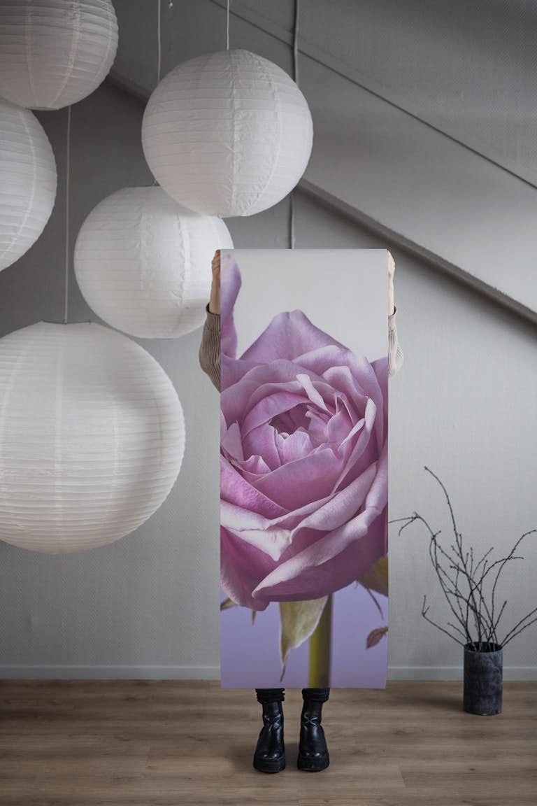 The Allure of Purple Roses papel pintado roll