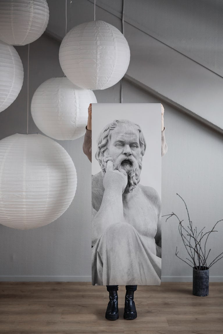 Socrates Marble Statue 3 wallpaper roll