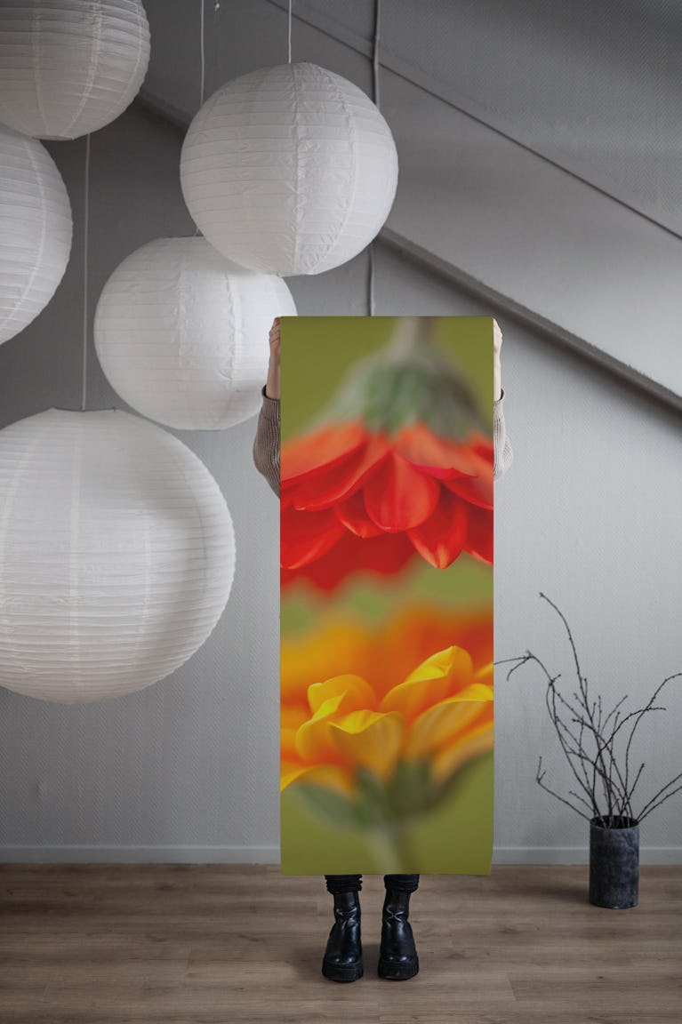 Gerbera Daisy wallpaper roll