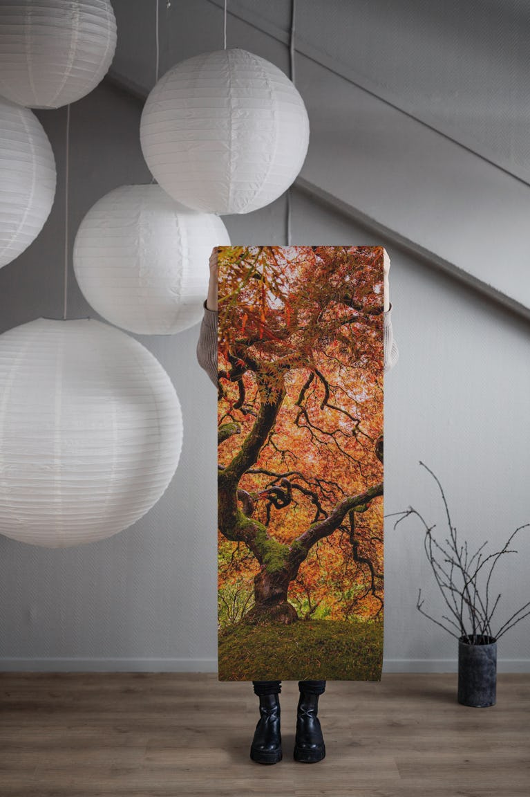 A senior maple tree wallpaper roll