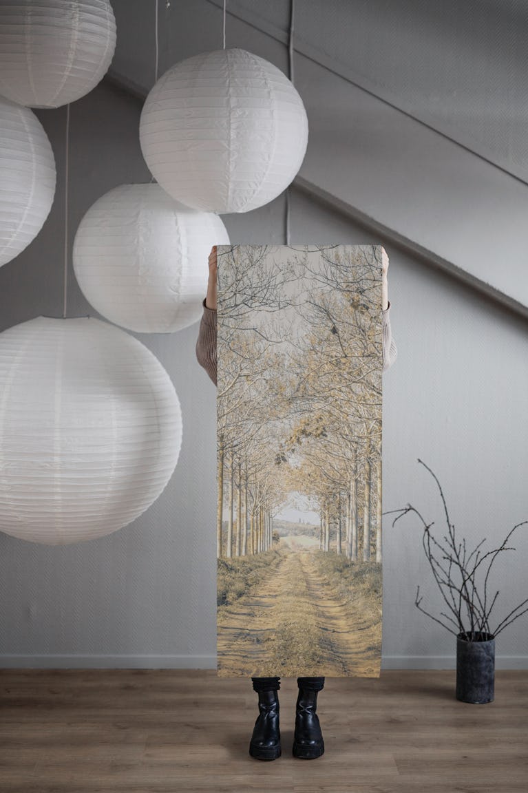 Golden Birch Lane wallpaper roll