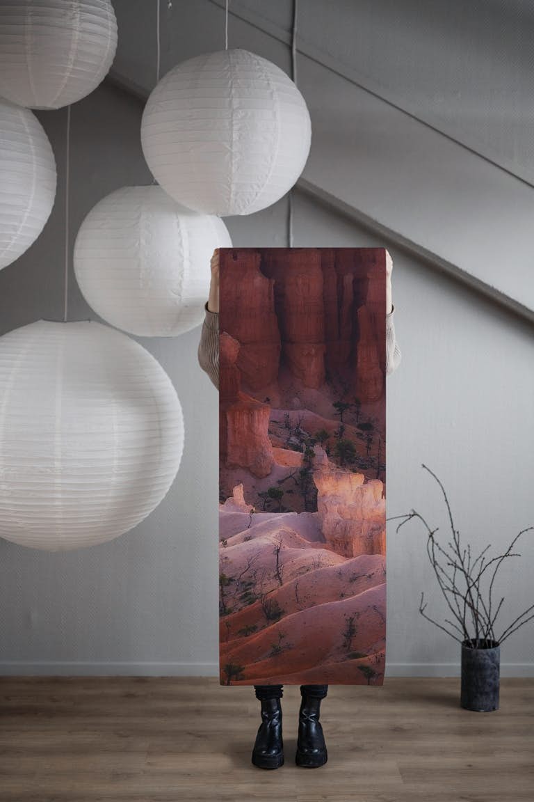 Canyon Light wallpaper roll