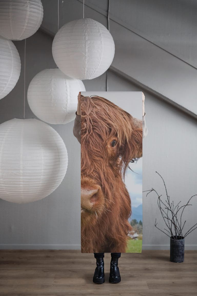Cute Highland Cow 1 wallpaper roll