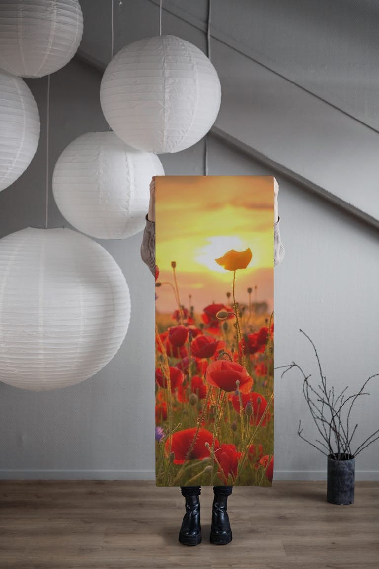 Poppies Sunset papel de parede roll