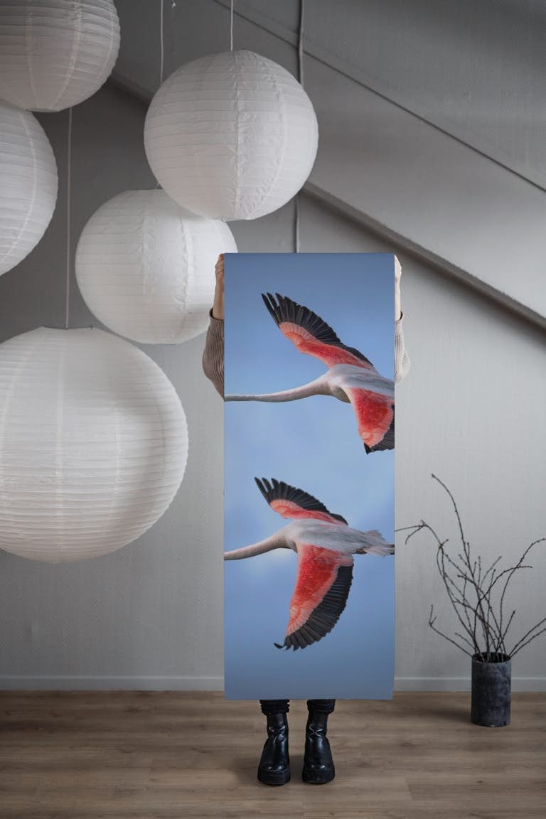 Greater Flamingos behang roll