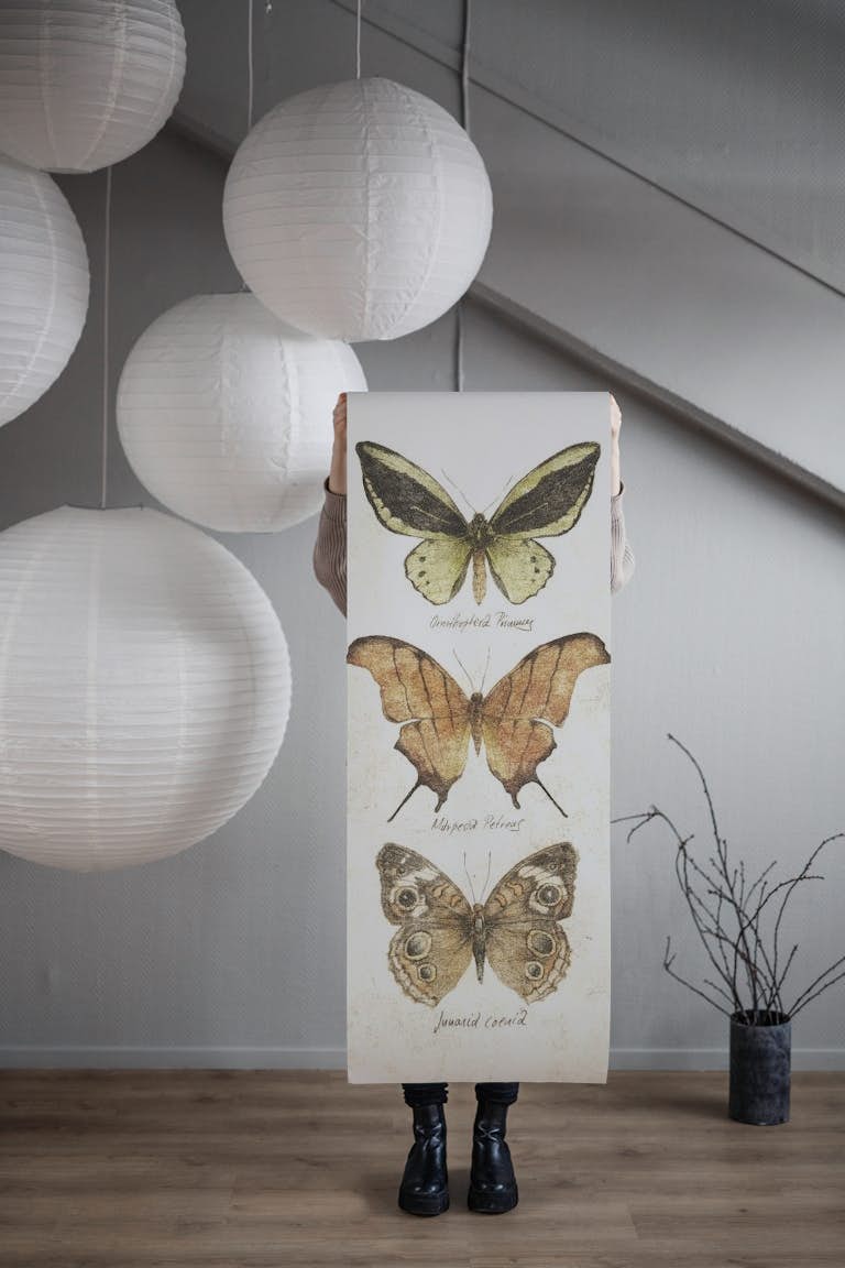 Butterflies VI papel de parede roll