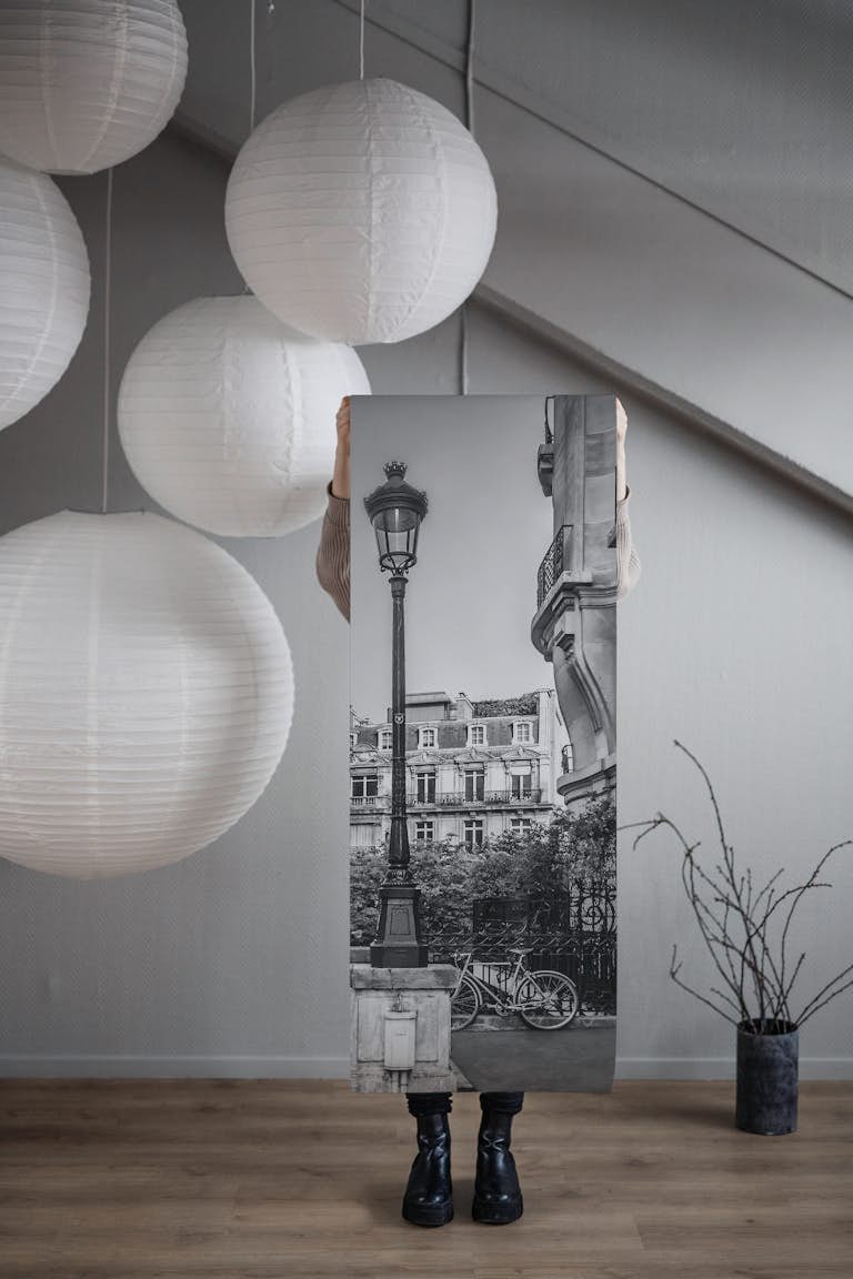 Monochrome Parisian Charm papel de parede roll
