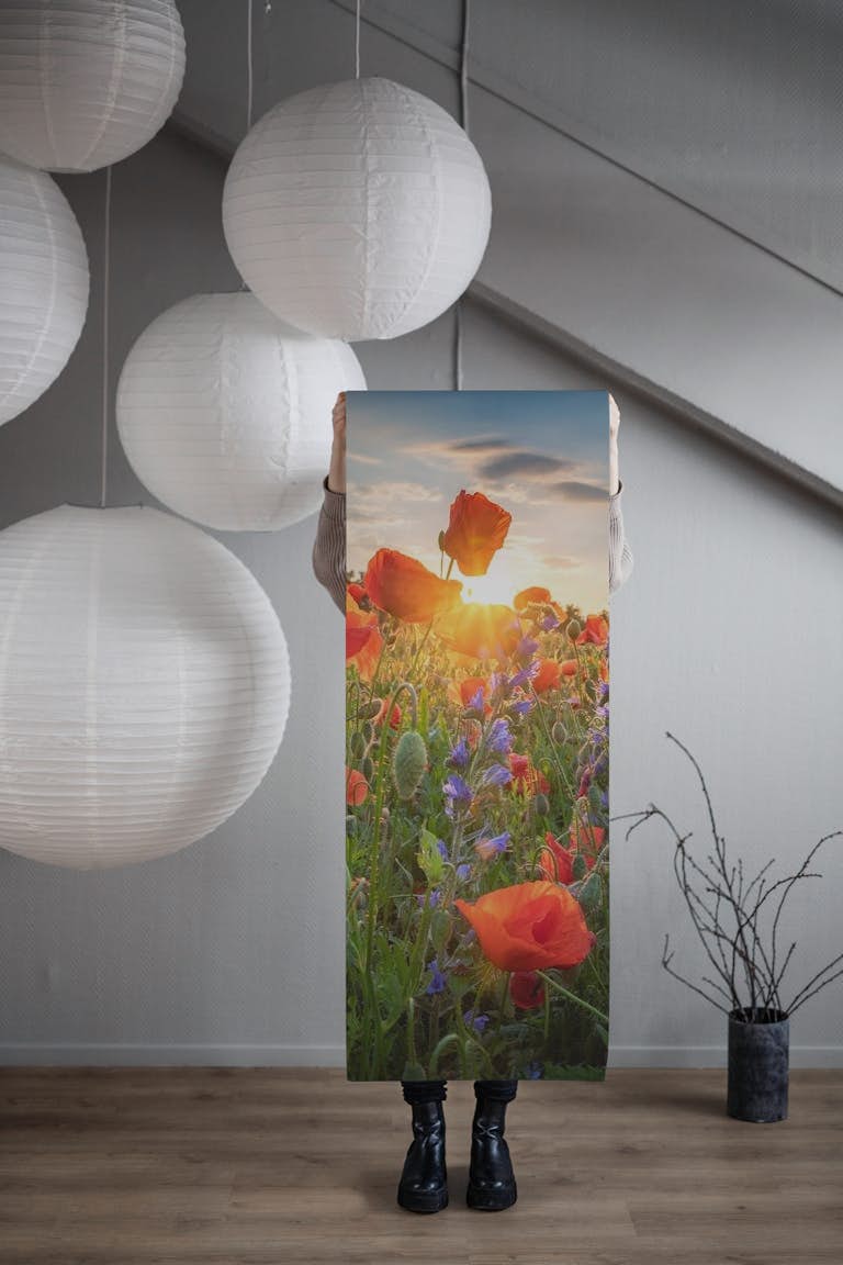 Poppies at Sunlight papiers peint roll