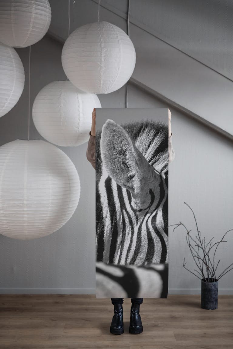 Curious Zebra papel pintado roll