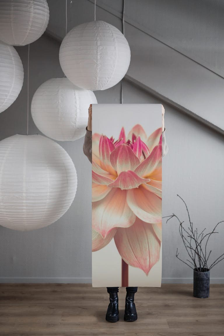 Dahlia Flower wallpaper roll
