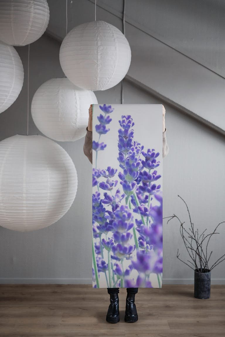 Fresh Lavender 1 wallpaper roll