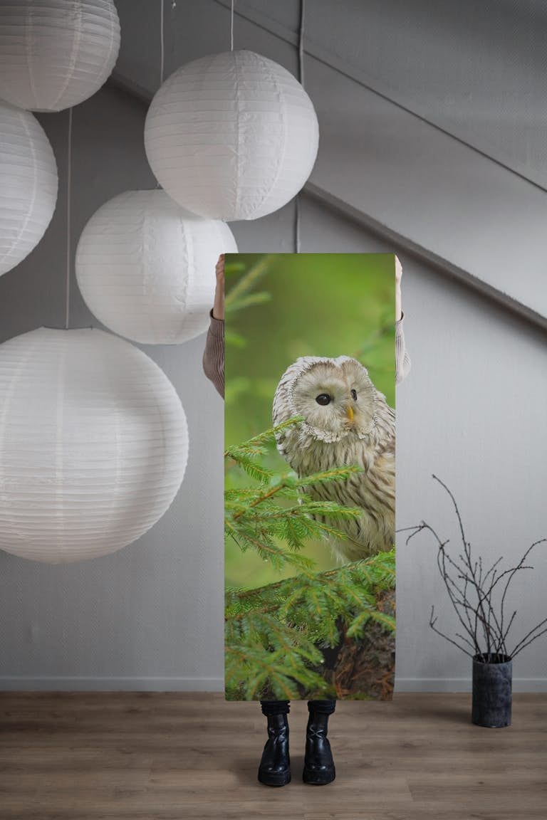 Ural Owl wallpaper roll