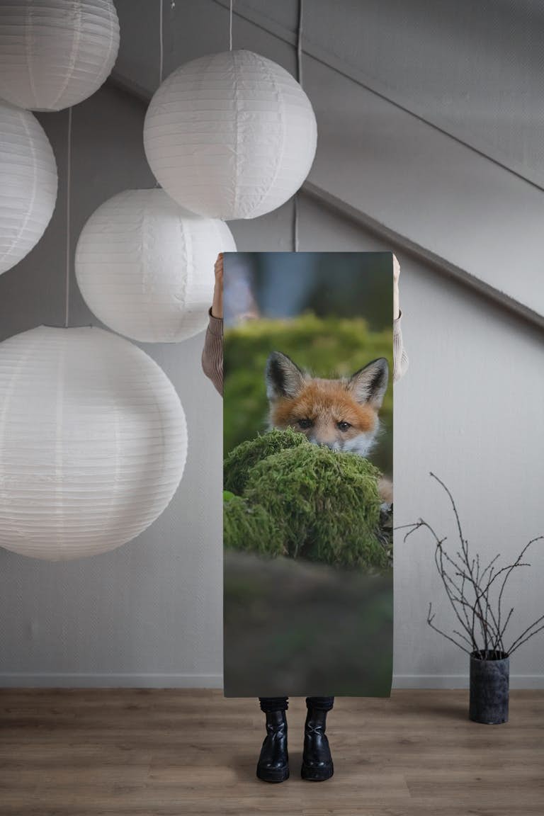 Curious fox wallpaper roll