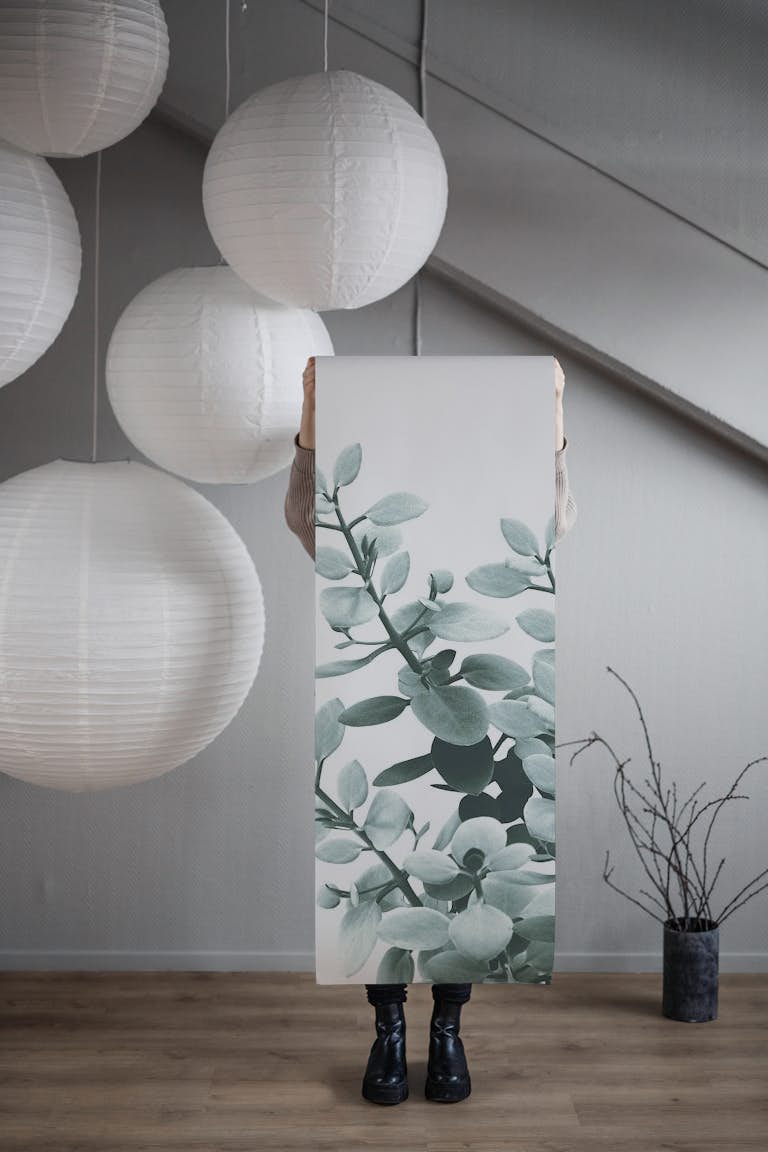 Eucalyptus Leaves 1 wallpaper roll