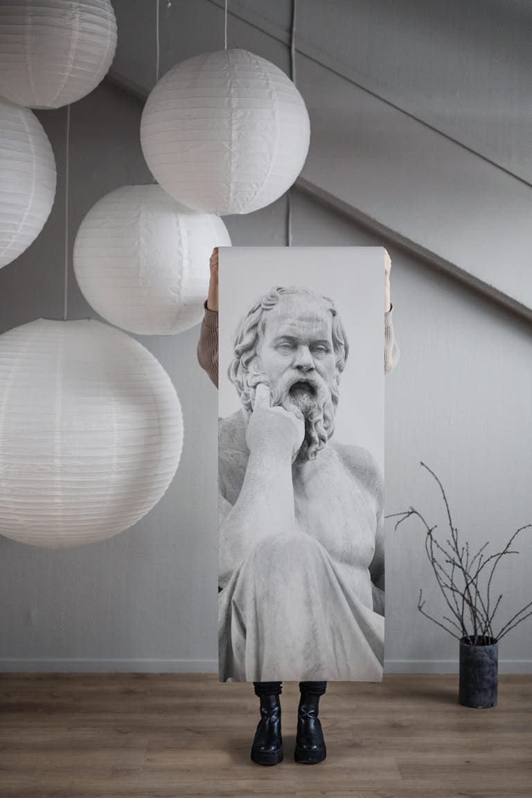 Socrates Marble Statue 3 tapet roll