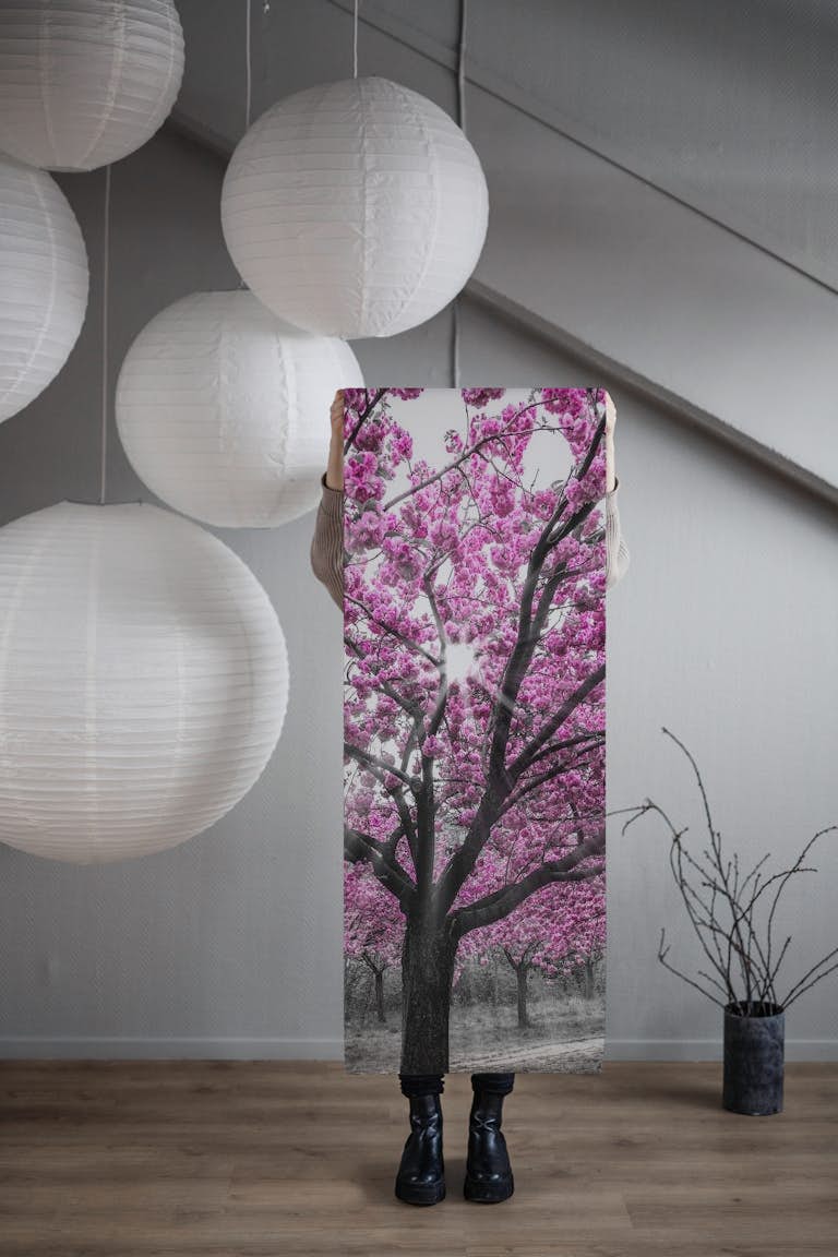 Cherry blossoms in sunlight behang roll