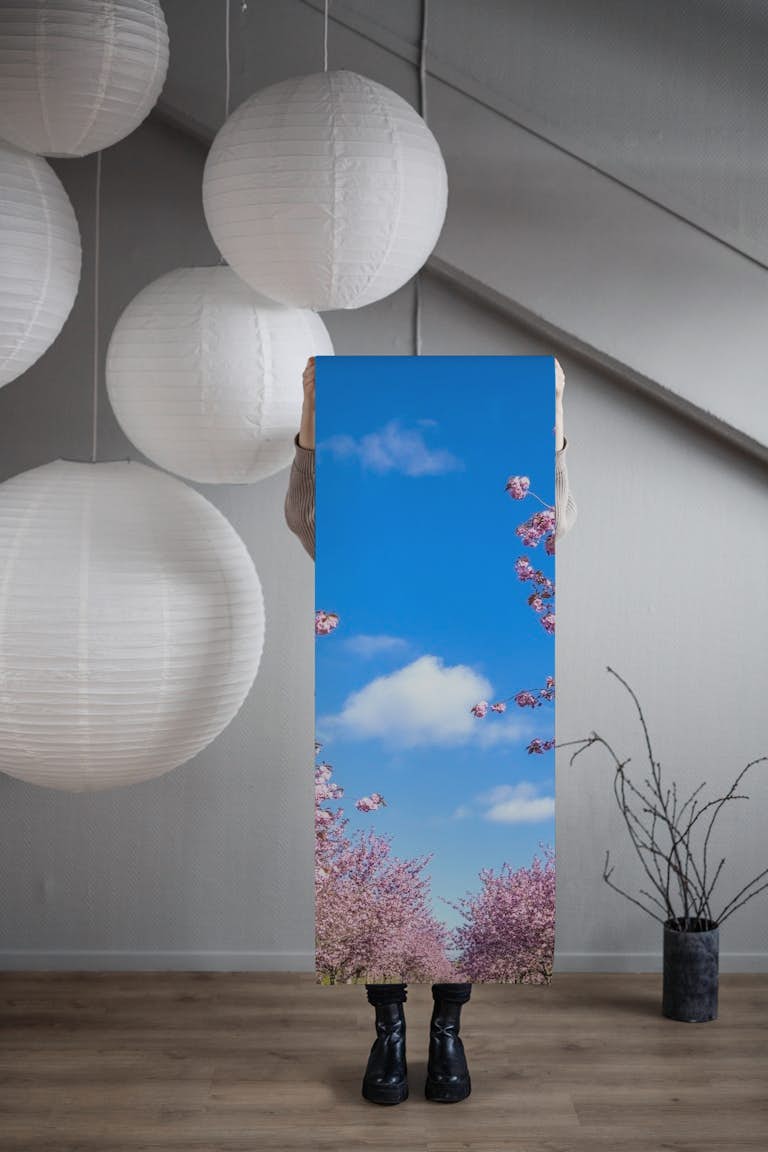 Cherry blossom and blue sky behang roll