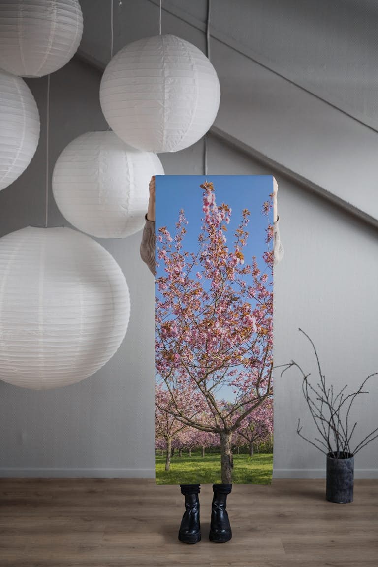 Blue sky and cherry blossom papel de parede roll