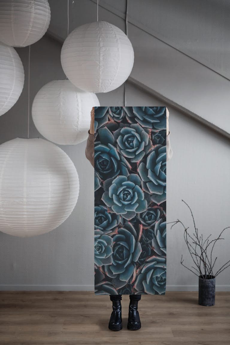 Blue succulents wallpaper roll