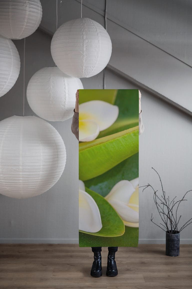 Exotic Frangipani Flower wallpaper roll