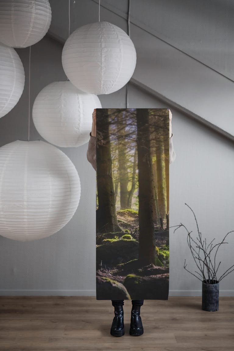 Forest lights wallpaper roll