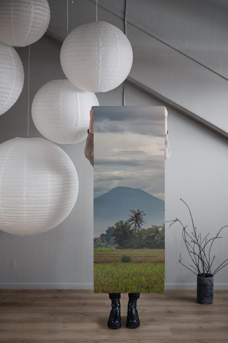 Bali Landscape wallpaper roll