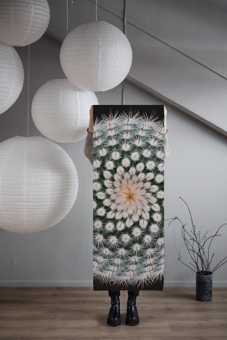 Notocactus scopa wallpaper roll