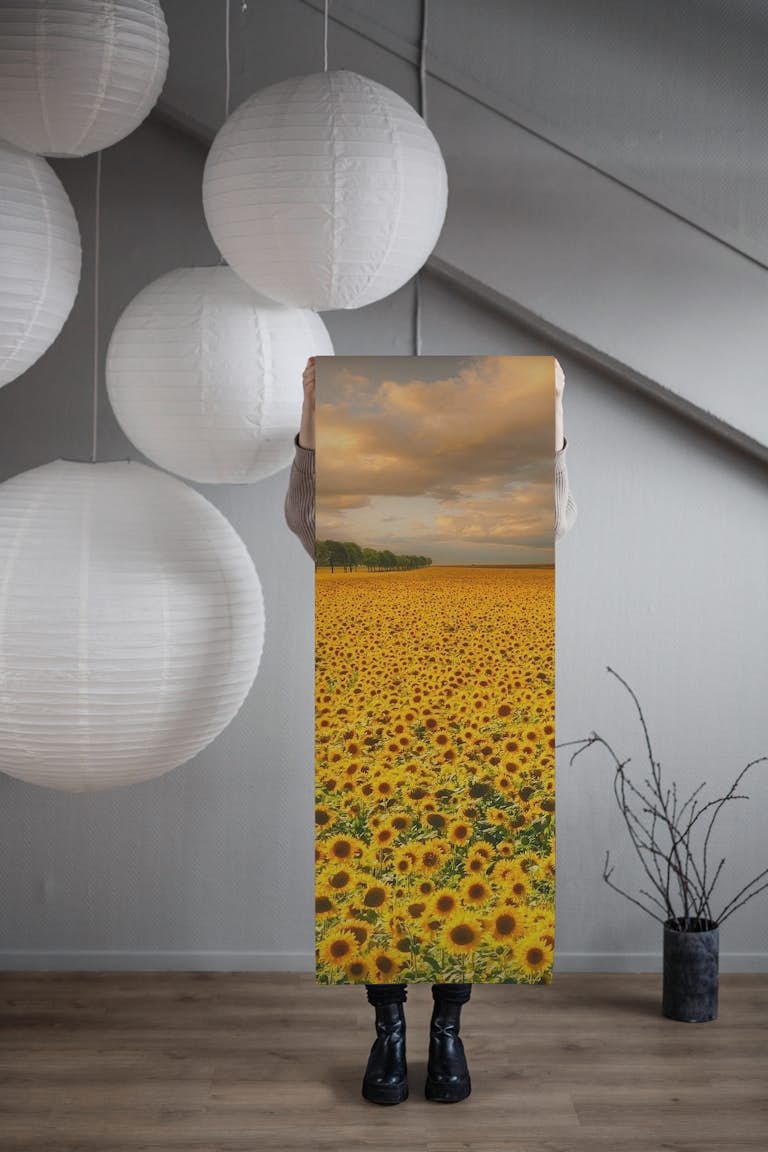 Sunflowers wallpaper roll