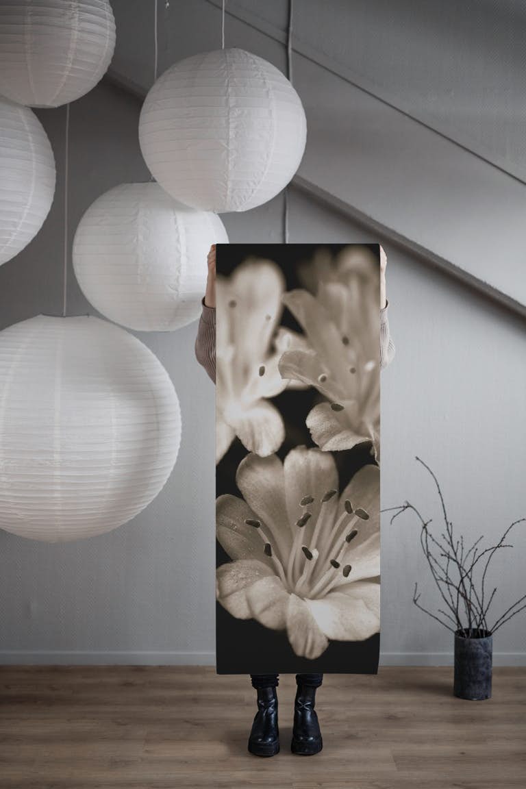 Lewisia blossom wallpaper roll
