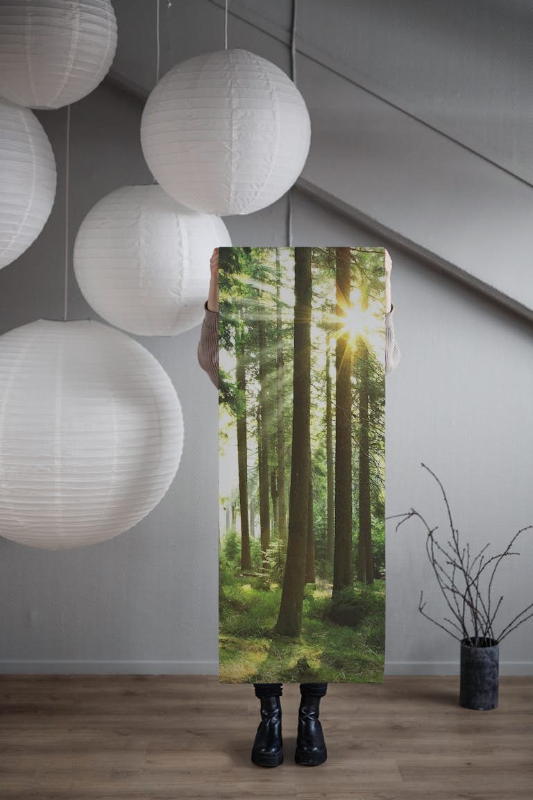 Forest light tapete roll