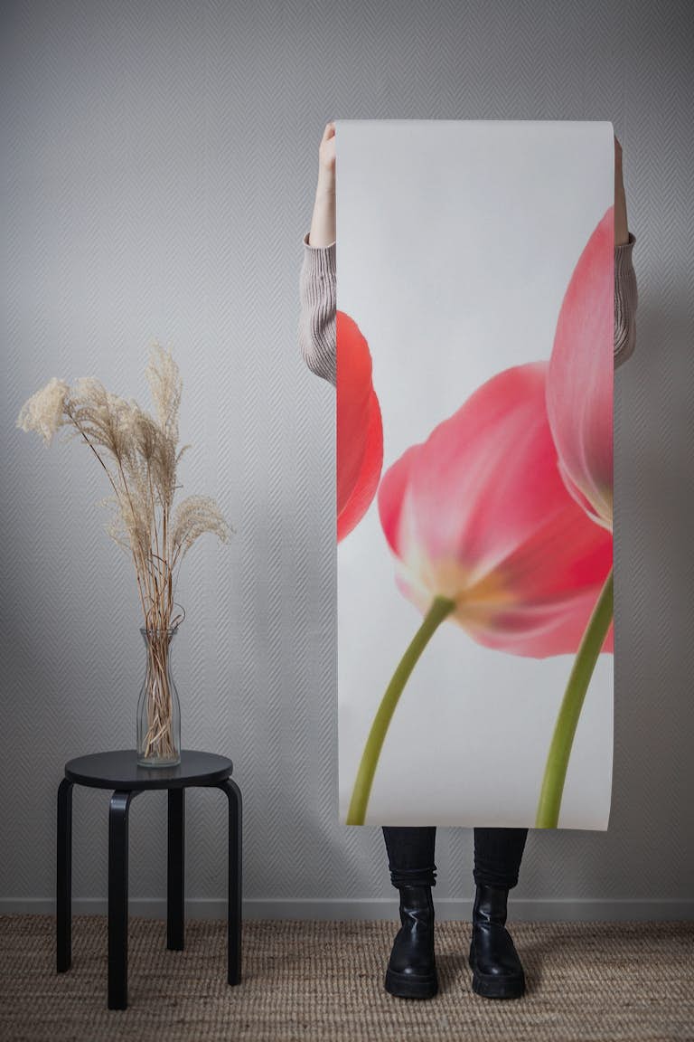 Red Tulips 3 papel pintado roll
