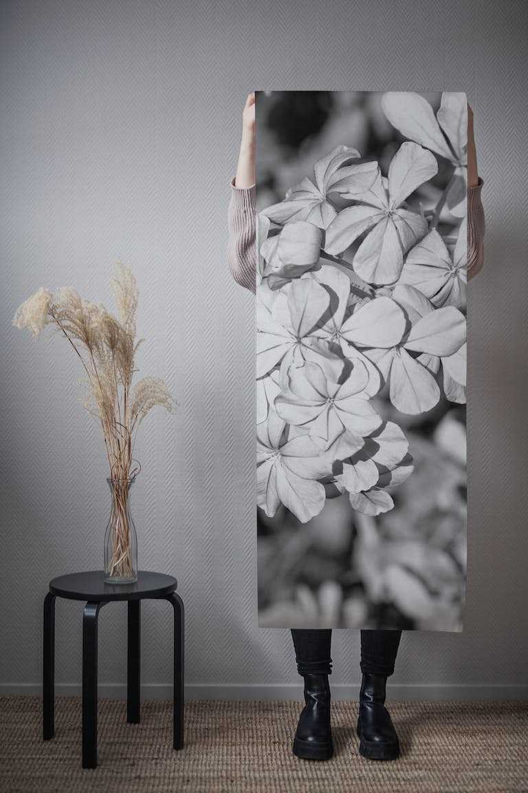 Fragipani Flowers Black White wallpaper roll