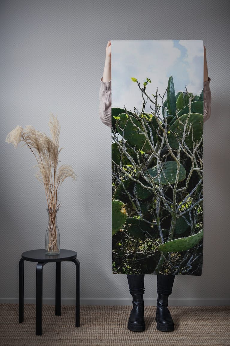 Spring Cacti Photography papel pintado roll