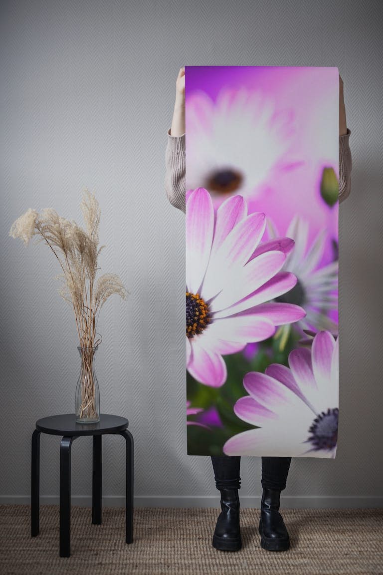 Osteospermum flowers wallpaper roll