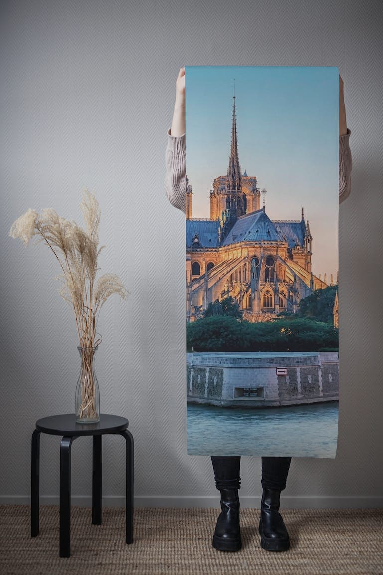 Cathedral Notre-Dame papel pintado roll