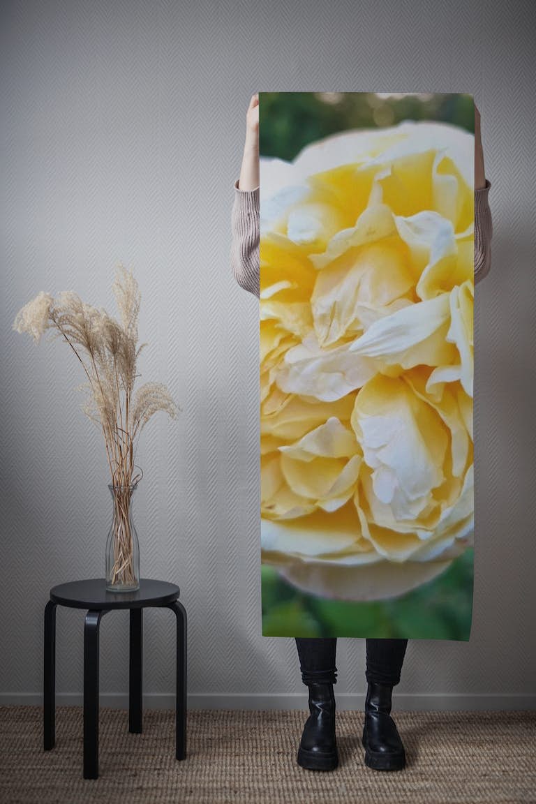 The Yellow Rose papel pintado roll