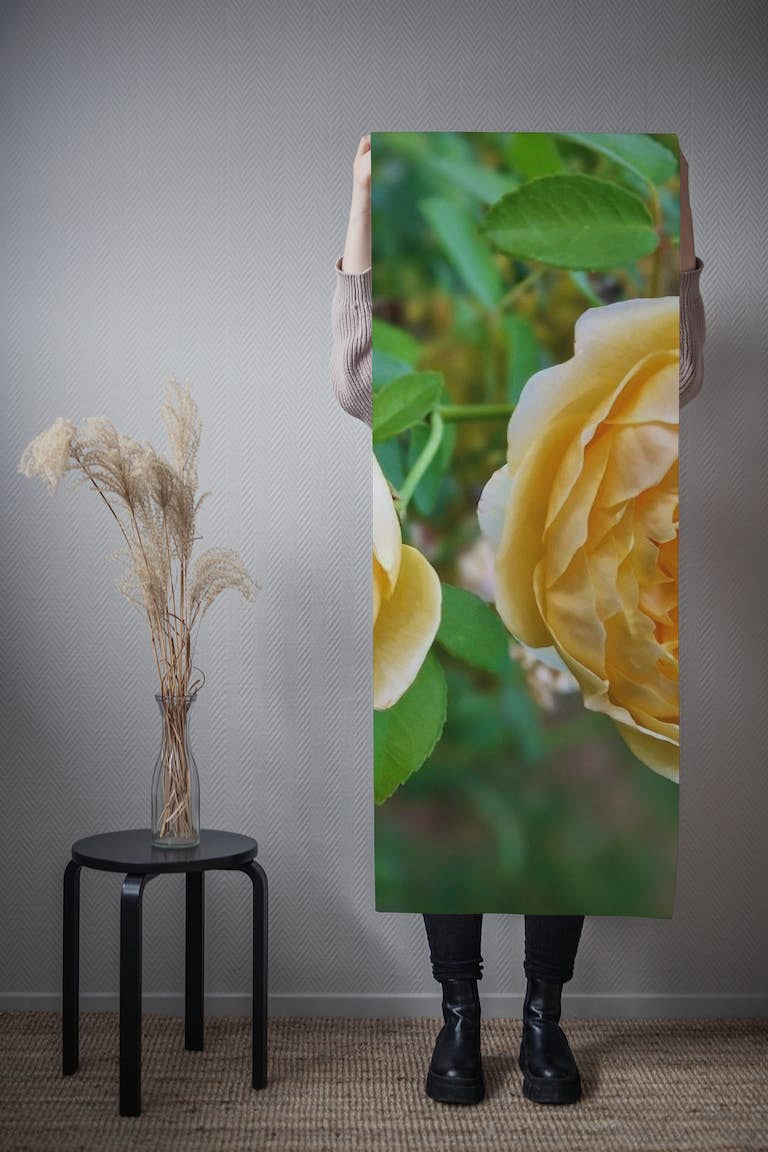 Two Yellow Roses behang roll