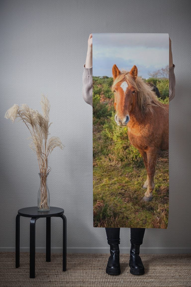 Wild Horse Thriving in Wilderness papel pintado roll