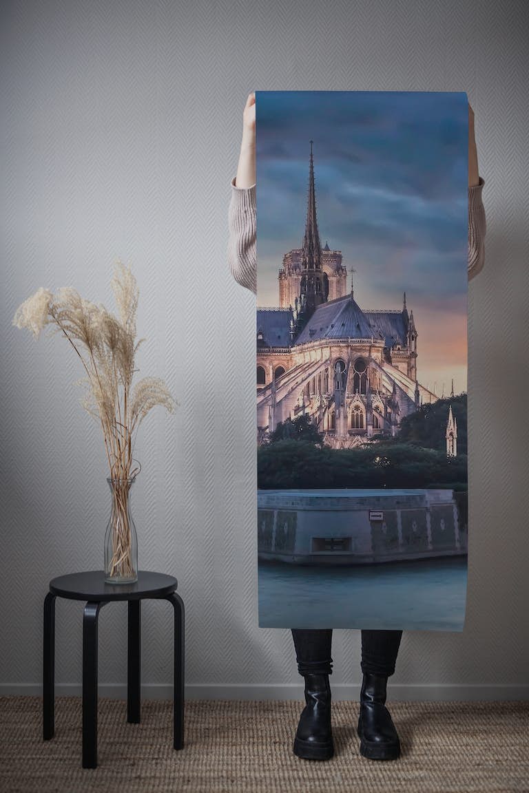Cathedral Of Paris papel pintado roll