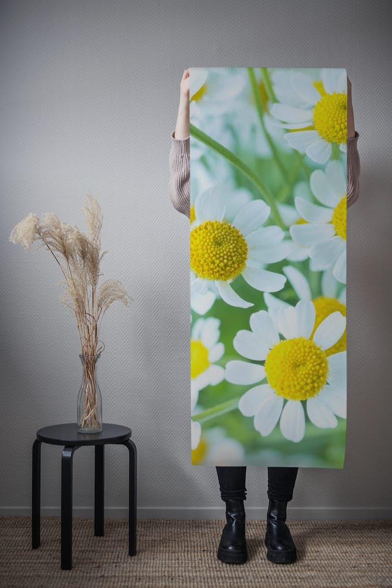 Daisies in White behang roll