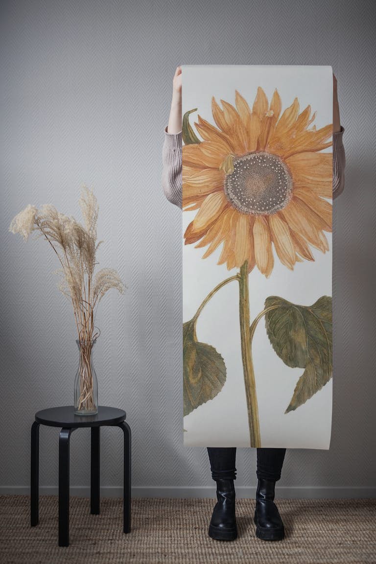 Sunflower - Vintage painting - ASTER papel de parede roll